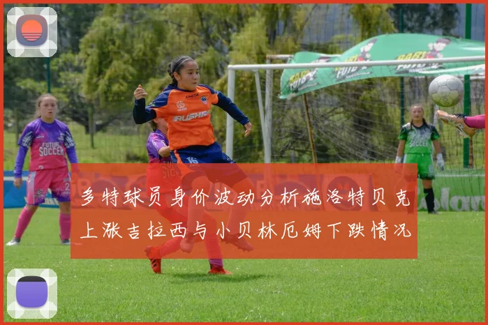多特球员身价波动分析施洛特贝克上涨吉拉西与小贝林厄姆下跌情况解读