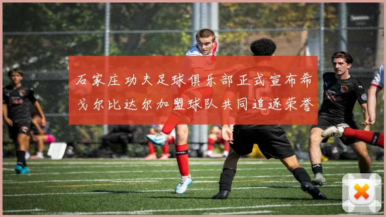 石家庄功夫足球俱乐部正式宣布希戈尔比达尔加盟球队共同追逐荣誉